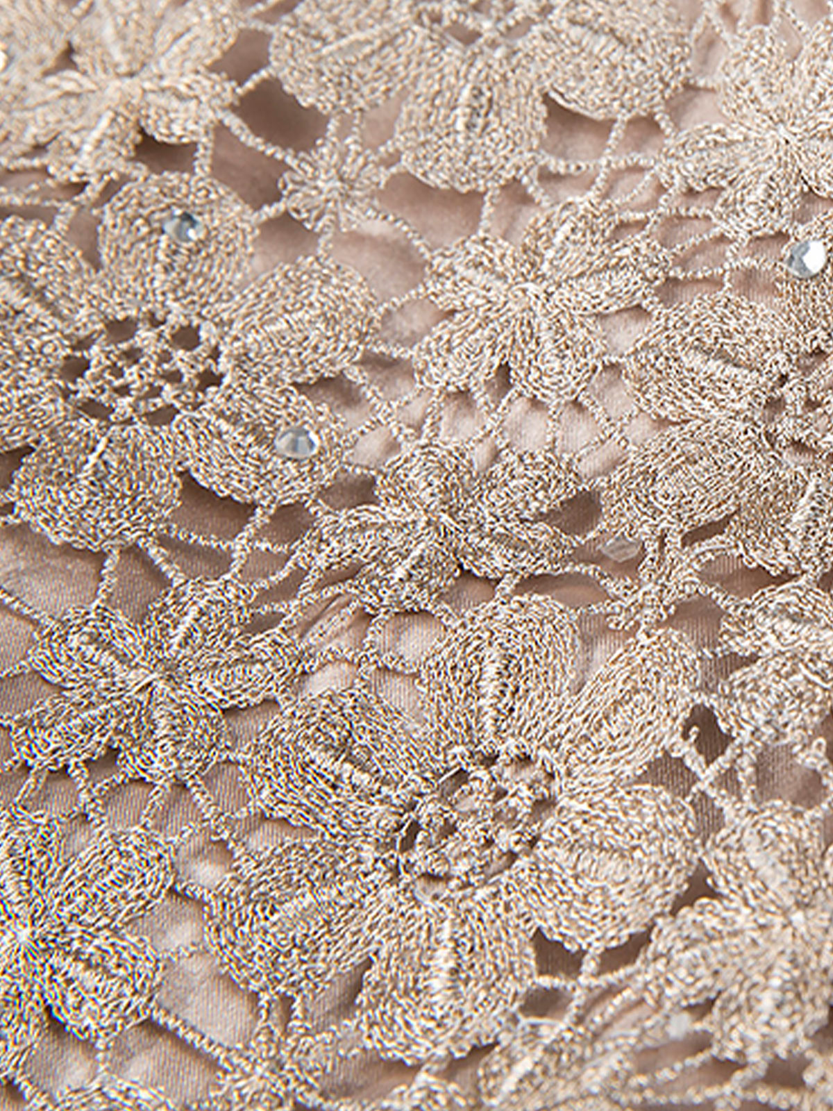 Metallic Floral Lace detail on the Champagne Lace Tulle Dress