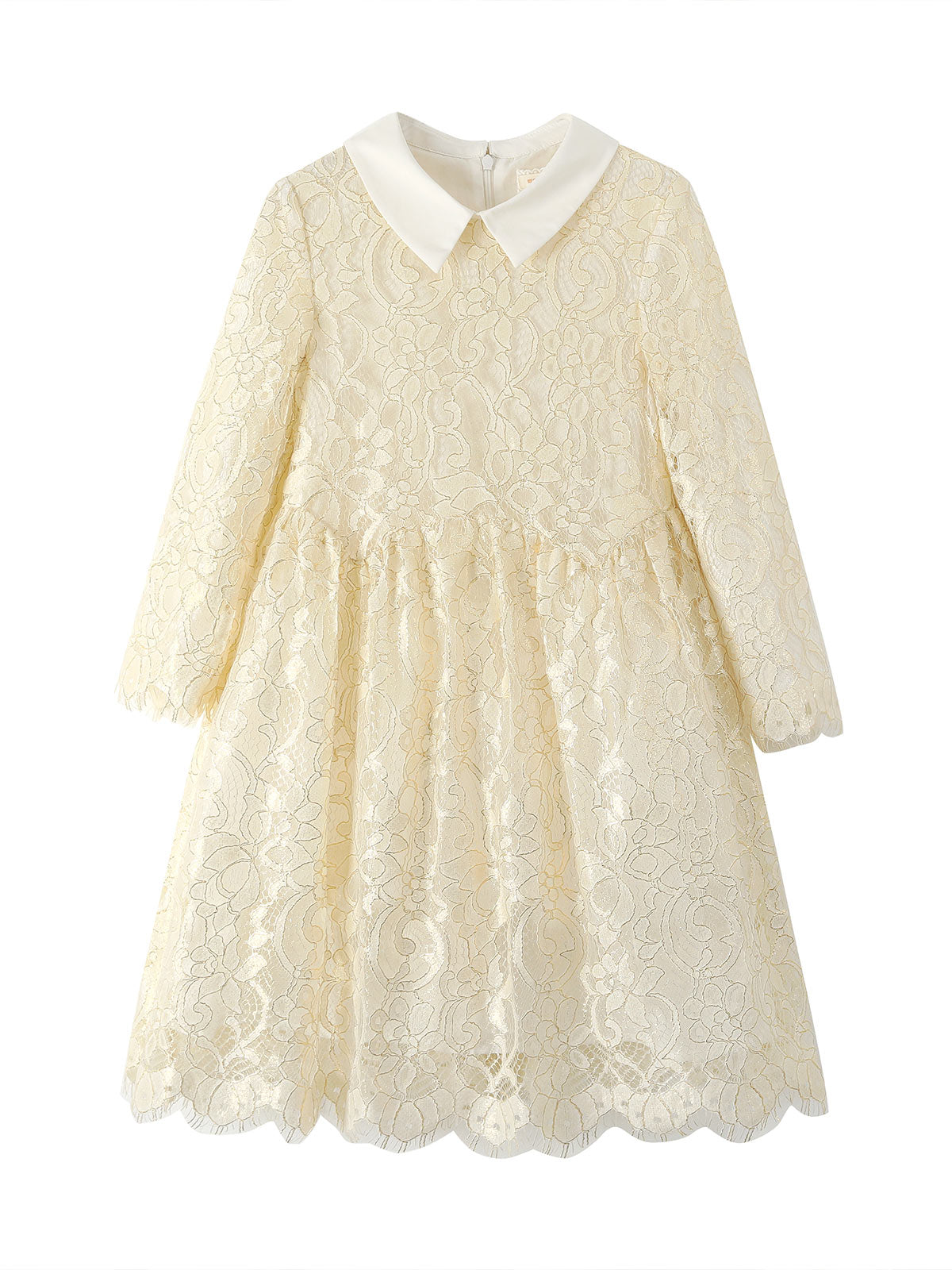 Gold-Outlined Floral Lace detail on the Ivory Gilt Lace Collar Dress