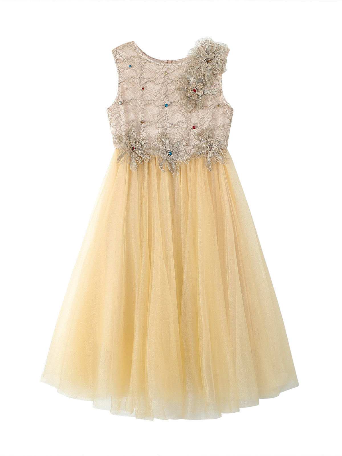 Front product view of the champagne embroidered dress
